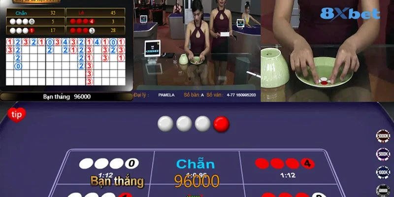 Quan tâm tới soi cầu trong xóc đĩa là chìa khóa để tay chơi thắng lớn. 